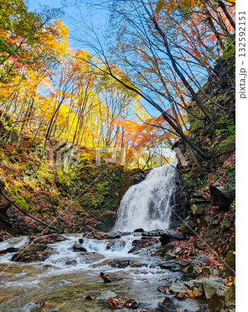 浅間大滝（秋） 132592151