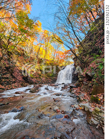 浅間大滝（秋） 132592152