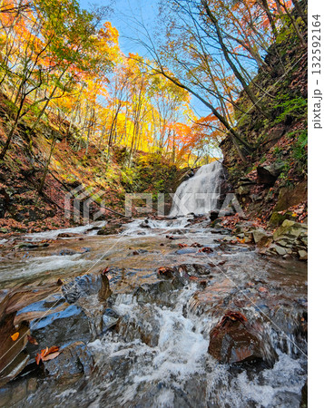 浅間大滝（秋） 132592164