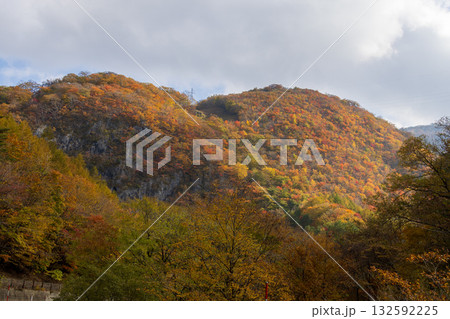 岩手県遠野市仙人峠の紅葉 132592225