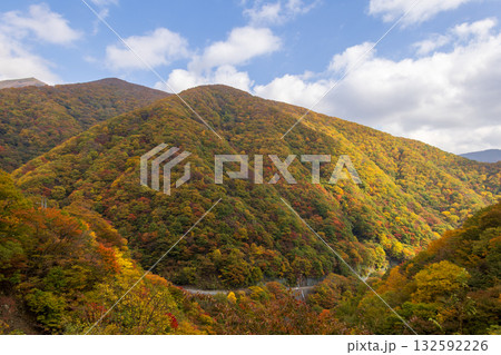 岩手県遠野市仙人峠の紅葉 132592226