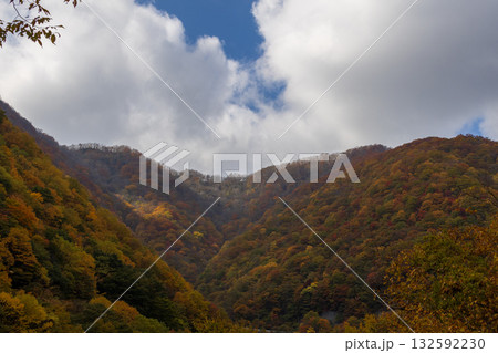 岩手県遠野市仙人峠の紅葉 132592230