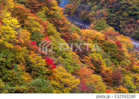 岩手県遠野市仙人峠の紅葉 岩手県遠野市仙人峠の紅葉 132592290