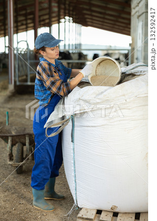 Female worker collects dry crumbly cow food in bucket. 132592417