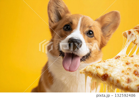 ピザを前に笑顔のコーギー 132592486