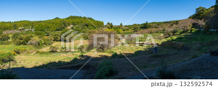 静岡県菊川市 千框(せんがまち)の棚田 パノラマ 静岡県菊川市 千框(せんがまち)の棚田 パノラマ 132592574