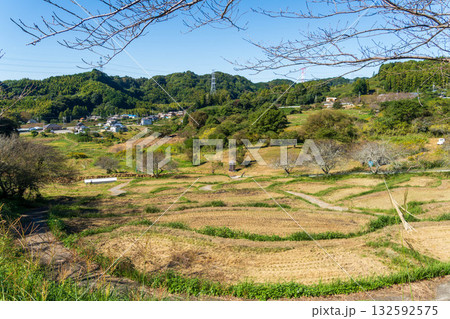 静岡県菊川市 千框(せんがまち)の棚田 静岡県菊川市 千框(せんがまち)の棚田 132592575