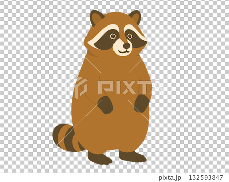 浣熊的例證 浣熊的例證 132593847