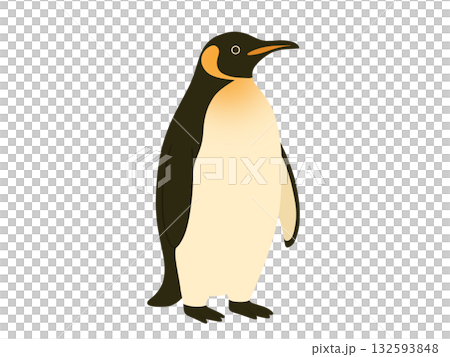Illustration of a standing penguin 132593848