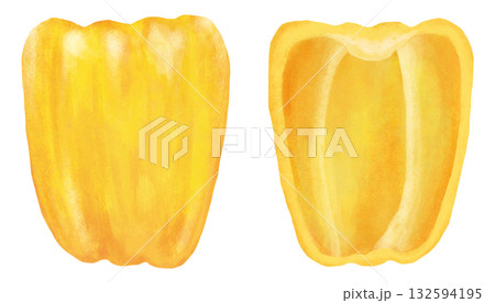 黄色のパプリカのイラスト 断面 黄色のパプリカのイラスト 断面 132594195