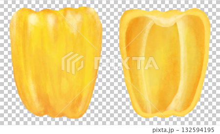 黄色のパプリカのイラスト 断面 黄色のパプリカのイラスト 断面 132594195