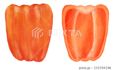 赤色のパプリカのイラスト 断面 赤色のパプリカのイラスト 断面 132594196
