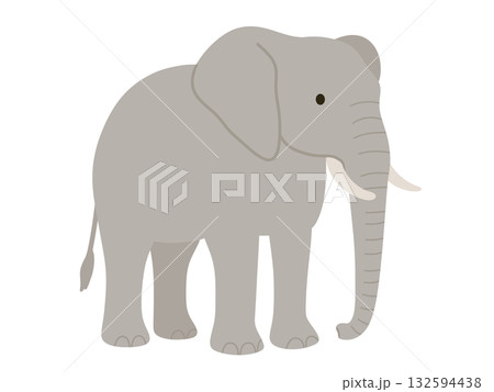 シンプルな象のイラスト 132594438