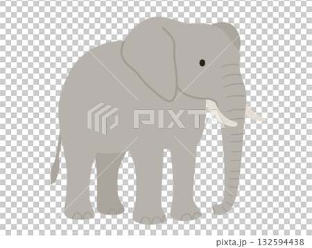 シンプルな象のイラスト 132594438