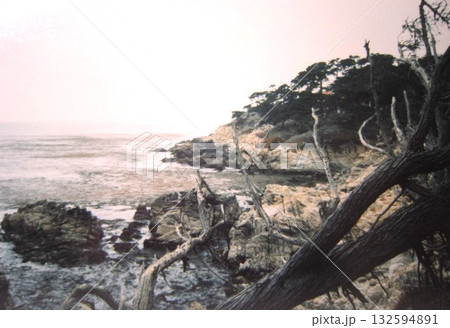 17マイル・ドライブからの眺望（モントレー付近） 132594891