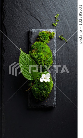 Moss on Slate 132595031