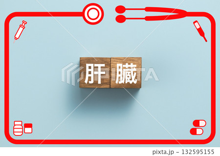 肝臓　健康診断　病気　医学　病院　医院　クリニック 132595155