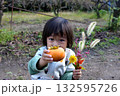 柿の収穫 132595726