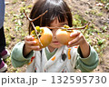 柿の収穫 132595730