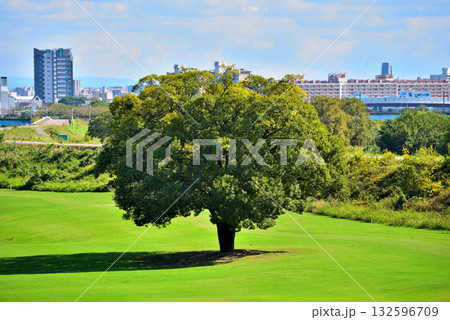 《愛知県》名古屋市庄内川河川敷にあるゴルフ場 132596709