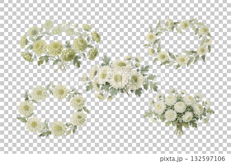 水彩・アンティーク風 白菊のイラスト5点セット　AI 132597106