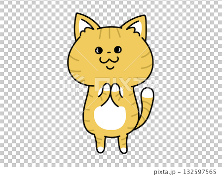 棕色虎斑貓雙手合十 132597565