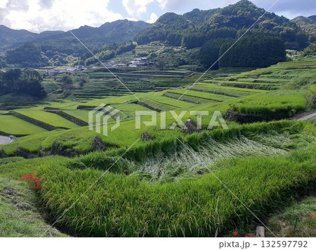 棚田に囲まれた棚田 棚田に囲まれた棚田 132597792
