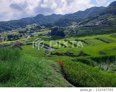 棚田のある風景　棚田　鬼木棚田 132597793