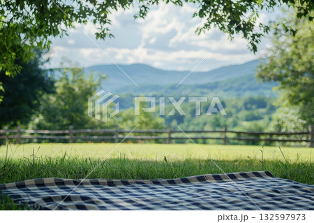 Scenic Outdoor Blanket on Grass with Mountains and Cloudy Sky in the Background Scenic Outdoor Blanket on Grass with Mountains and Cloudy Sky in the Background 132597973