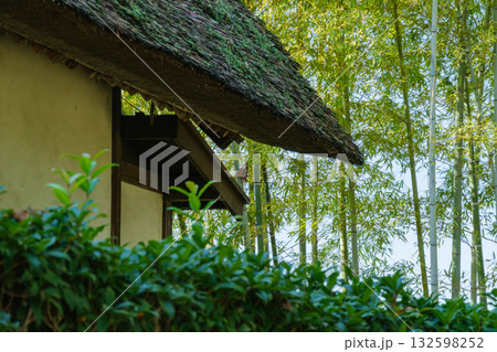 竹林と茅葺屋根 132598252