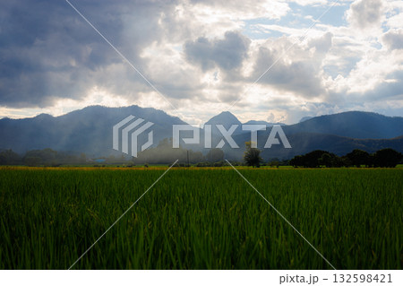 A summer mountain landscape view with green grass fields, trees, and white clouds in the blue sky 132598421