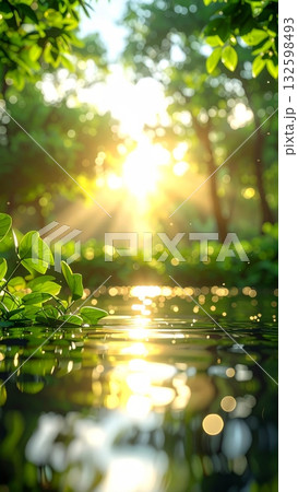 Pond and Grass in a Moist Forest Pond and Grass in a Moist Forest 132598493