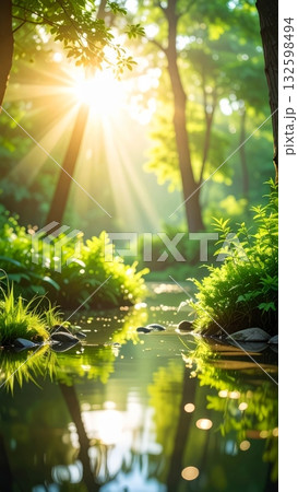 Pond and Grass in a Moist Forest Pond and Grass in a Moist Forest 132598494