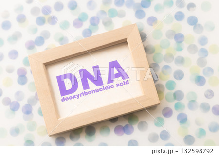 DNA・デオキシリボ核酸 deoxyribonucleic acid 132598792