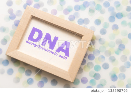 DNA・デオキシリボ核酸 deoxyribonucleic acid 132598793