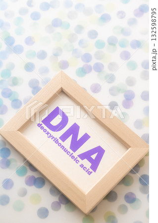 DNA・デオキシリボ核酸 deoxyribonucleic acid 132598795