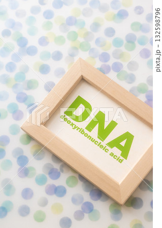 DNA・デオキシリボ核酸 deoxyribonucleic acid DNA・デオキシリボ核酸 deoxyribonucleic acid 132598796