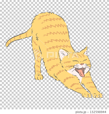 Illustration of a brown tabby cat stretching Illustration of a brown tabby cat stretching 132598944