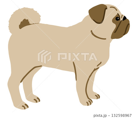 シンプルな横向きのパグの手描きイラスト シンプルな横向きのパグの手描きイラスト 132598967