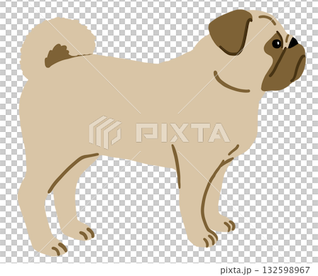 シンプルな横向きのパグの手描きイラスト シンプルな横向きのパグの手描きイラスト 132598967