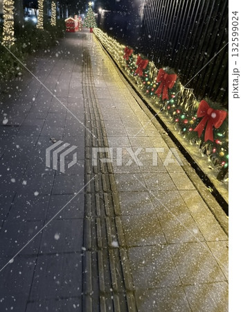 クリスマスの歩道 132599024