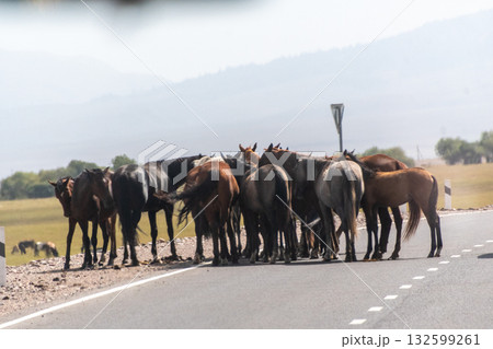 Impression of the Kyrgyzstan countryside 132599261