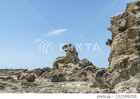 秋田県男鹿市　潮瀬崎のゴジラ岩 132599330