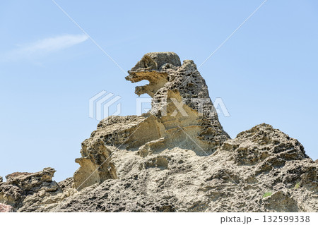 秋田県男鹿市 潮瀬崎のゴジラ岩 秋田県男鹿市 潮瀬崎のゴジラ岩 132599338