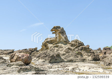 秋田県男鹿市　潮瀬崎のゴジラ岩 132599339