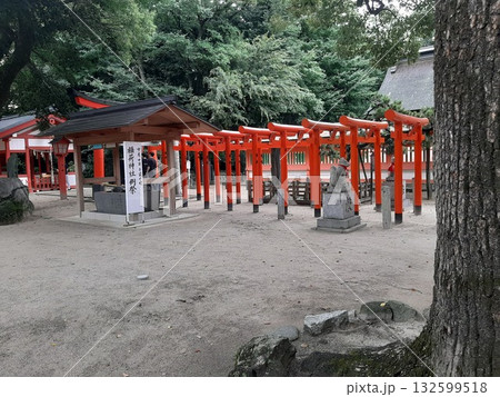 〈福岡県〉鳥居のある風景 朱色 〈福岡県〉鳥居のある風景 朱色 132599518