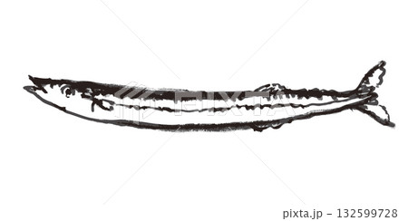 秋刀魚　墨絵　イラスト 132599728