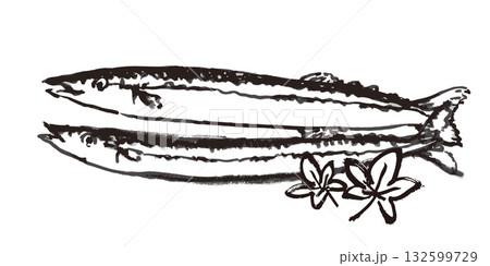 秋刀魚　墨絵　イラスト 132599729