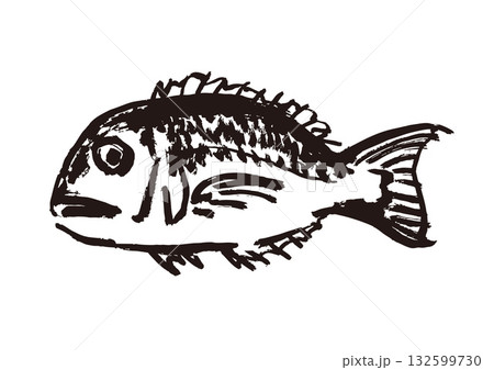 鯛　墨絵　イラスト 132599730
