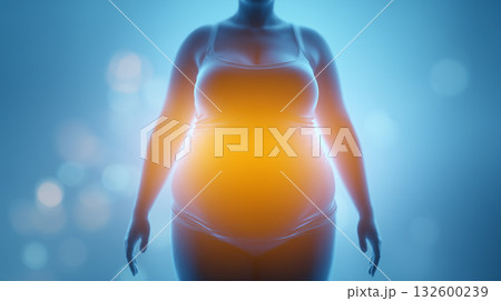肥満と内臓脂肪(腹部の健康リスク、ダイエットの概念) 肥満と内臓脂肪(腹部の健康リスク、ダイエットの概念) 132600239